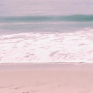 Meet your Posher, Eva